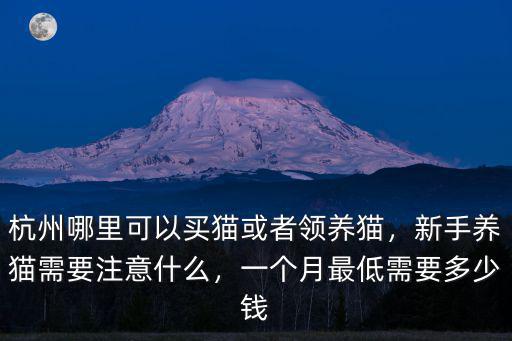 杭州貓糧包需要多少錢,杭州哪里可以買貓或者領養貓