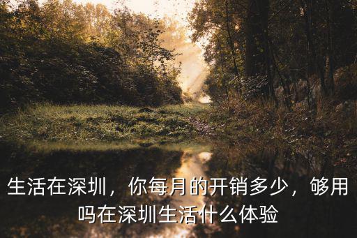生活在深圳，你每月的開銷多少，夠用嗎在深圳生活什么體驗