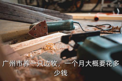 廣州市養一只邊牧，一個月大概要花多少錢