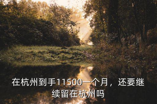 杭州定居需要多少收入,月收入一萬在杭州算什么水平