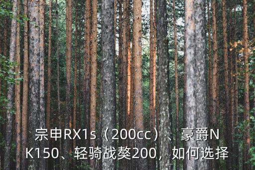 宗申RX1s（200cc）、豪爵NK150、輕騎戰獒200，如何選擇