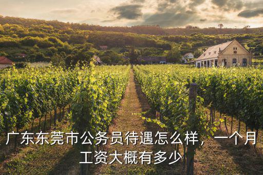 廣東東莞市公務員待遇怎么樣，一個月工資大概有多少