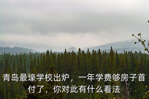 青島白珊學(xué)校學(xué)費(fèi)一年多少,青島最壕學(xué)校出爐