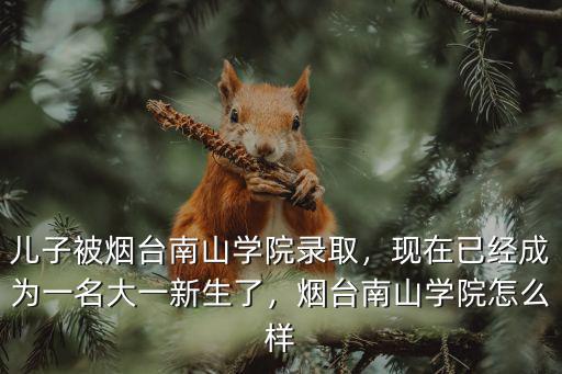 煙臺南山學院畢業(yè)多少分,煙臺南山學院怎么樣