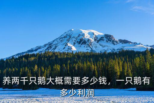 師頭鵝苗一只多少錢汕頭,養兩千只鵝大概需要多少錢