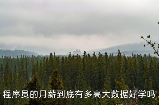 程序員的月薪到底有多高大數據好學嗎