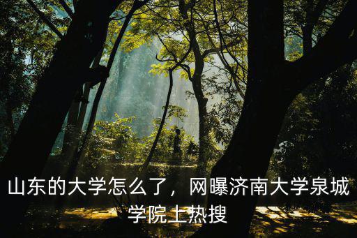 濟南大學泉城學院多少分,網曝濟南大學泉城學院上熱搜