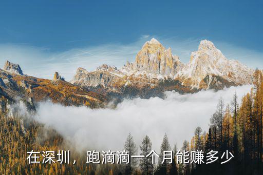 在深圳開車有多少錢一個月多少錢,一個月要多少錢
