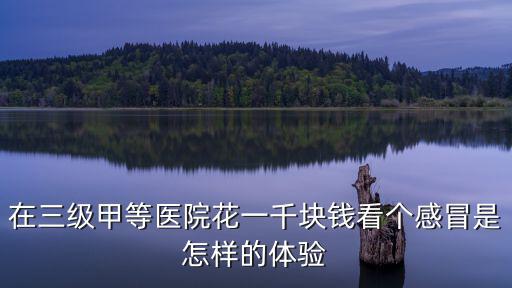 在三級(jí)甲等醫(yī)院花一千塊錢看個(gè)感冒是怎樣的體驗(yàn)