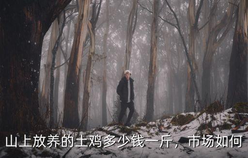 廣東陽江閹雞價格多少錢一斤,山上放養的土雞多少錢一斤