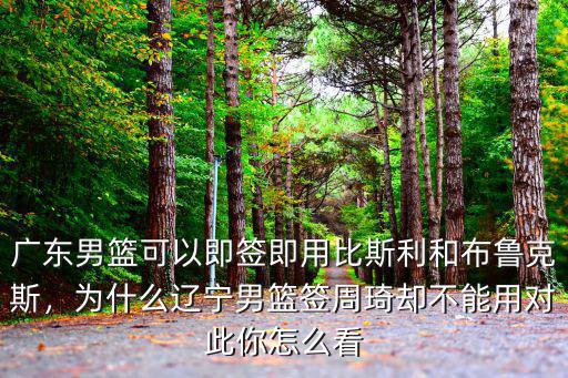 廣東男籃布魯克斯怎么沒上場,布魯克斯廣東男籃首秀