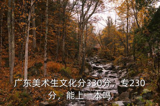 廣東美術生考本科需要多少分,廣東美術生文化分330分