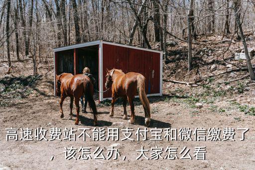 深圳高速收費站怎么繳費,新手上高速時