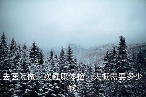 去醫院做一次健康體檢，大概需要多少錢