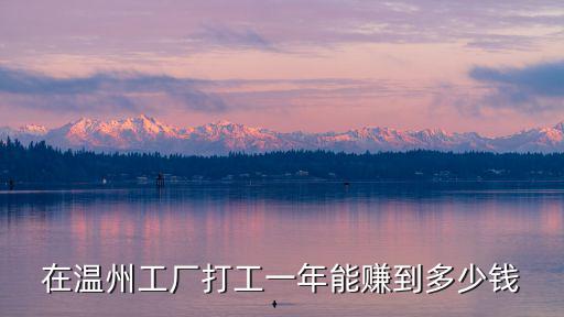 浙江八個人小工廠一年能賺多少錢,一年一般可以掙多少錢