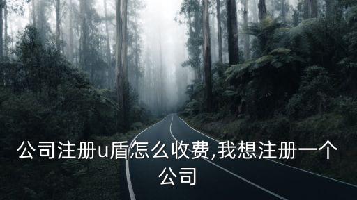 廣州公司注冊(cè)u(píng)盾怎么收費(fèi),我想注冊(cè)一個(gè)公司