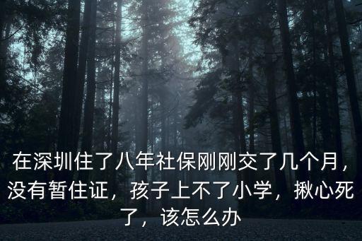 外地戶口在深圳上不了學怎么辦,父母外地戶口