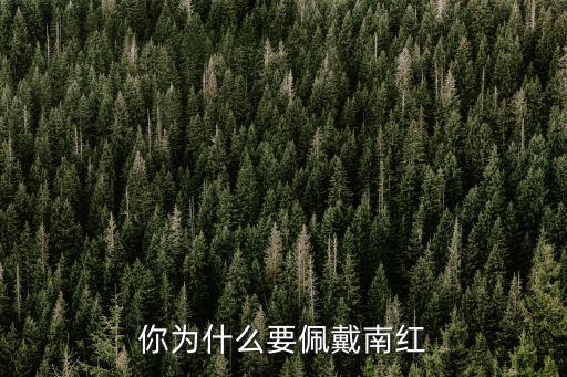 廣東石化南紅怎么樣,你為什么要佩戴南紅