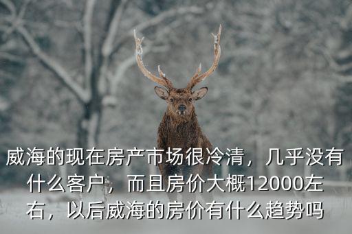 威海的現在房產市場很冷清，幾乎沒有什么客戶，而且房價大概12000左右，以后威海的房價有什么趨勢嗎