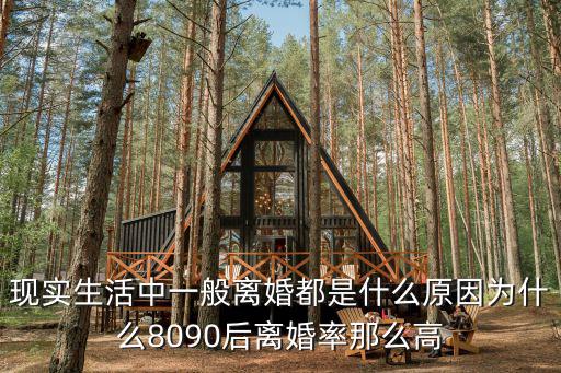 現實生活中一般離婚都是什么原因為什么8090后離婚率那么高
