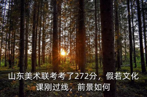 山東藝考生的文化課是多少分過線,山東美術(shù)聯(lián)考考了272分