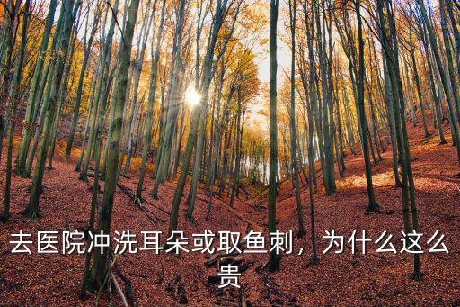 在日照醫(yī)院洗耳朵多少錢,去醫(yī)院沖洗耳朵或取魚刺