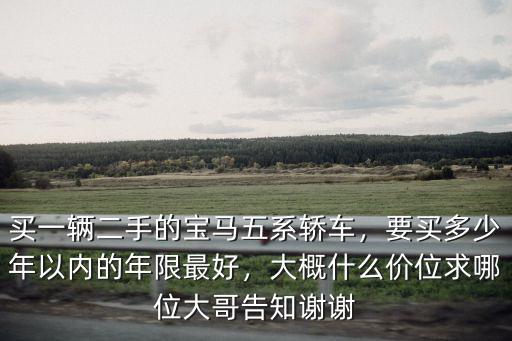 臺州二手寶馬五系的價格大概多少,買一輛二手的寶馬五系轎車