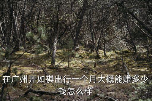 在廣州開(kāi)如祺出行一個(gè)月大概能賺多少錢怎么樣