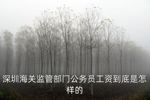 深圳海關監管部門公務員工資到底是怎樣的