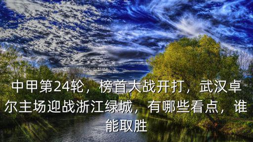 浙江綠城有多少武漢籍球員,武漢卓爾主場迎戰浙江綠城