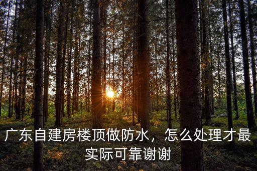 廣東這邊樓頂怎么建的,廣東自建房樓頂做防水