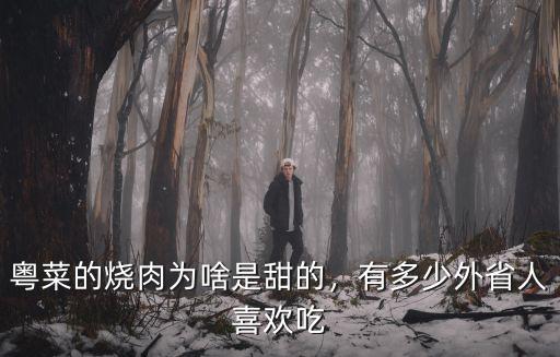 廣東省有多少種燒肉,廣州的燒肉怎么做