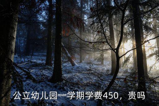 公立幼兒園一學期學費450，貴嗎