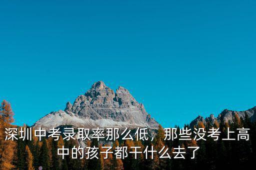 深圳中考南海中學的孩子都去了哪里,深圳中考錄取率那么低