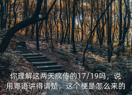 你理解這兩天瘋傳的17/19嗎，說用粵語講得請楚，這個梗是怎么來的
