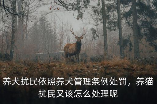 養犬擾民依照養犬管理條例處罰，養貓擾民又該怎么處理呢