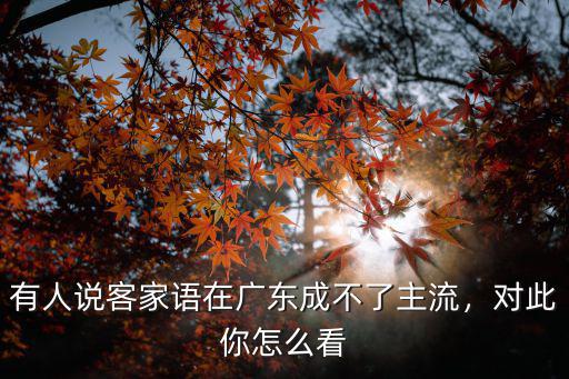 客家語廣東話怎么說,客家語是宋朝官話