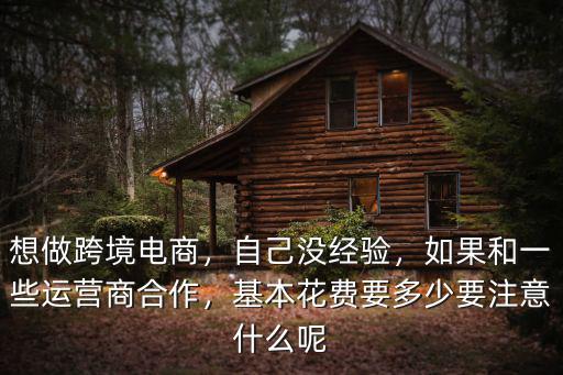想做跨境電商，自己沒經驗，如果和一些運營商合作，基本花費要多少要注意什么呢