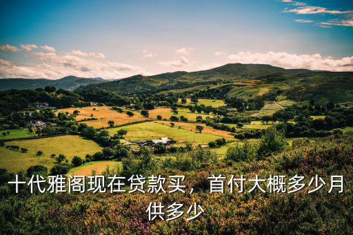廣州雅閣首付多少合適,首付大概多少