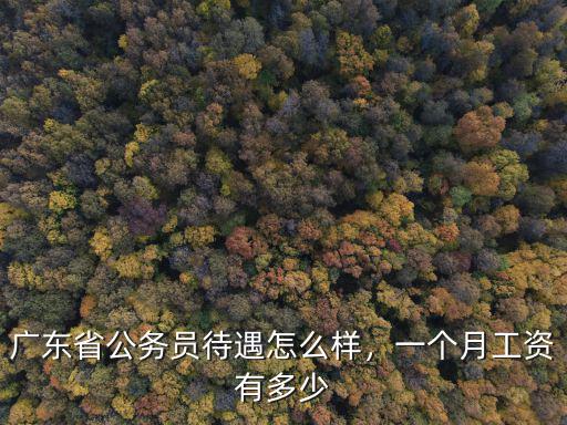 廣東省公務(wù)員待遇怎么樣，一個(gè)月工資有多少