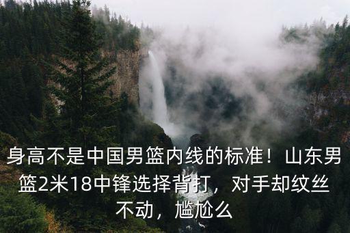 山東男籃的后衛身高是多少,在山東男籃是核心后衛