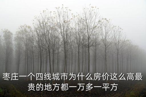 棗莊四里石改造多少錢一平方,最貴的地方都一萬多一平方