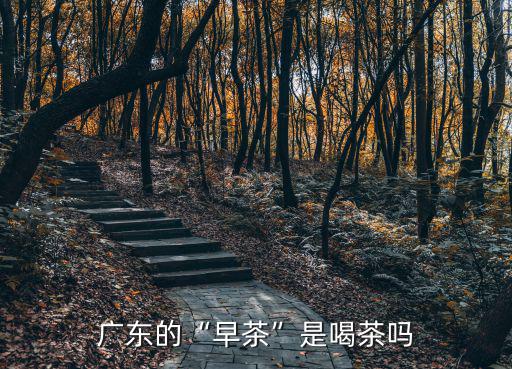 廣州哪里喝茶休閑,廣州哪個區最適合生活