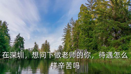 在深圳，想問下做老師的你，待遇怎么樣辛苦嗎