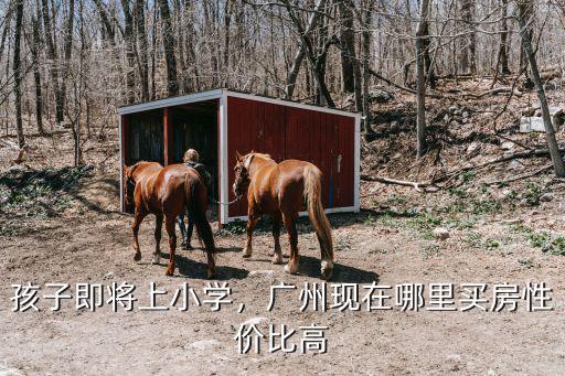 孩子即將上小學，廣州現在哪里買房性價比高