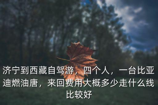 濟寧到開車費用多少,來回大概多少費用