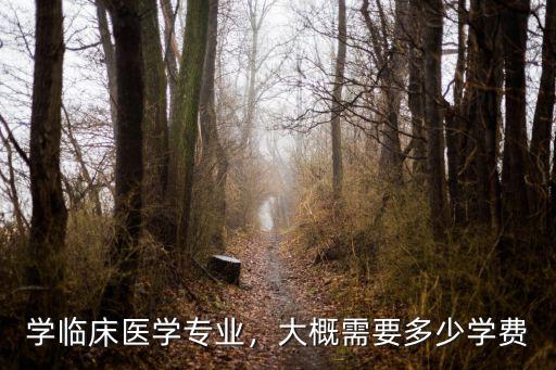 杭州醫學院臨床專業學費多少,學臨床醫學專業