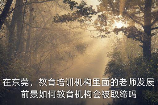 東莞教育培訓機構怎么樣,教育機構會被取締嗎