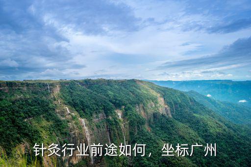 廣州學習中心針灸多少錢,廣州哪里可以學習針灸