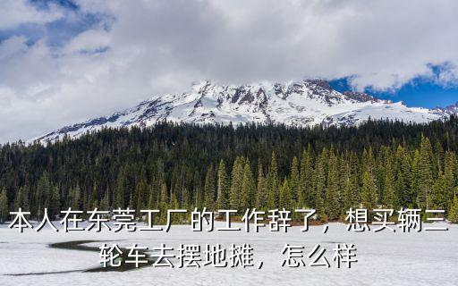 東莞哪里廠區(qū)沒(méi)開(kāi)發(fā)適合擺地?cái)?東莞晚上在哪里擺地?cái)偙容^好